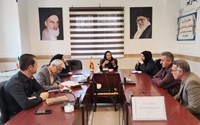 کمیته اجرایی پیگیری مصوبات شورای هماهنگی مبارزه با مواد مخدر