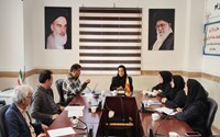 جلسه هماهنگی کنترل و پایش تبلیغات کالاها و خدمات آسیب رسان